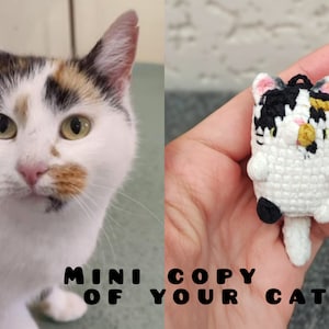 Custom cat mini doll, customized stuffed animal. Personalized kitten toy. Pet memorial. Gift for cat lover, cat mom cat dad gift. Keychain