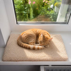 May include: A ginger tabby cat curled into a ball while sleeping on a rectangular, beige, textured fleece mat. The mat is positioned on a white windowsill, providing a soft surface for the cat to rest in the sunlight near a window.