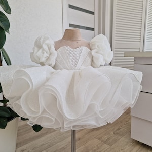 Robe tutu ivoire à paillettes gonflées avec broderie de perles et manches bouffantes Parfaite pour le baptême, la robe de premier anniversaire ou la robe de fille à fleurs ivory