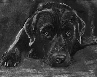 Lámina artística de un labrador negro dibujado a carboncillo: Memorial canino firmado a mano