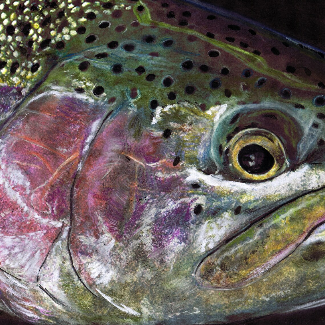 Rainbow Trout Art Fly Fishing Wall Art Print Hand Signed Etsy