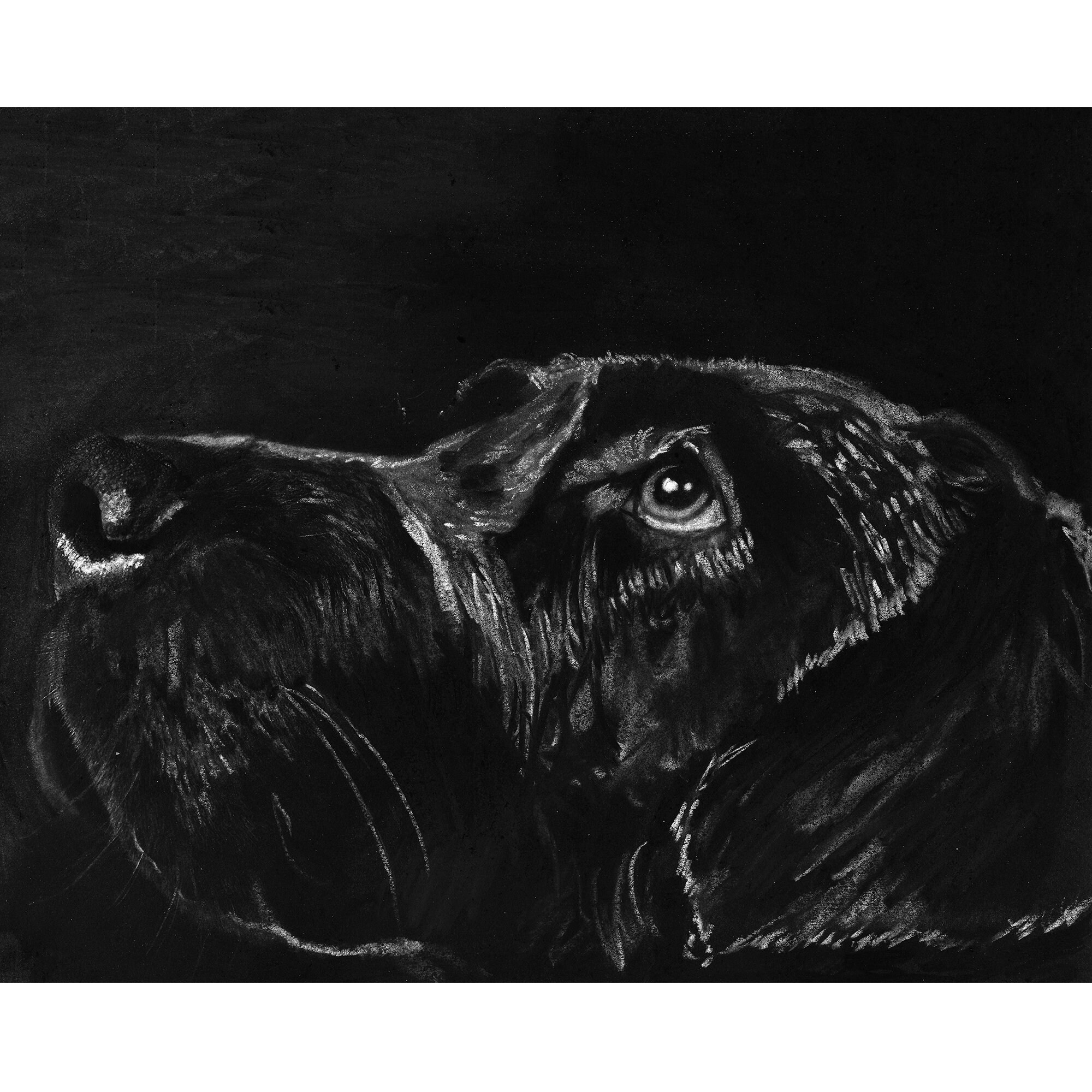 Custom Charcoal Pet Portrait Handdrawn From Your Photo Etsy