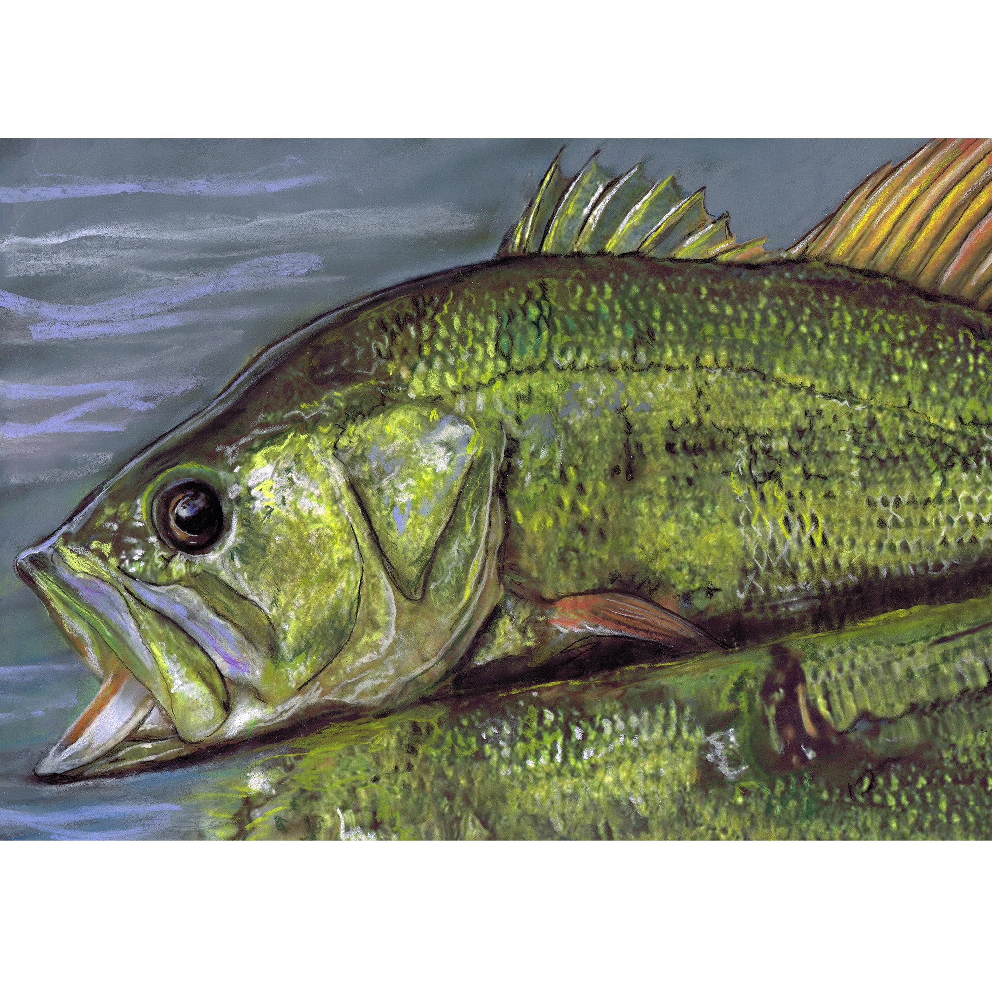 Bass Fishing Paintings