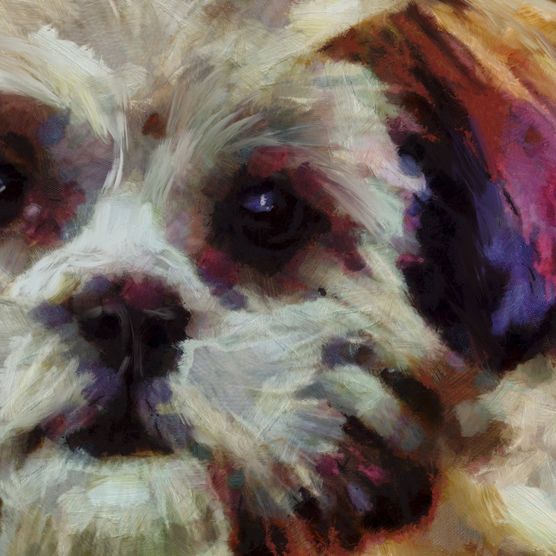 Shih Tzu Painting Painting Colourful Dog Owner Wall Art Print, Dog Memorial, Shitzu Mum Picture Gift Choice of Size Signed by Oscar Jetson image 3