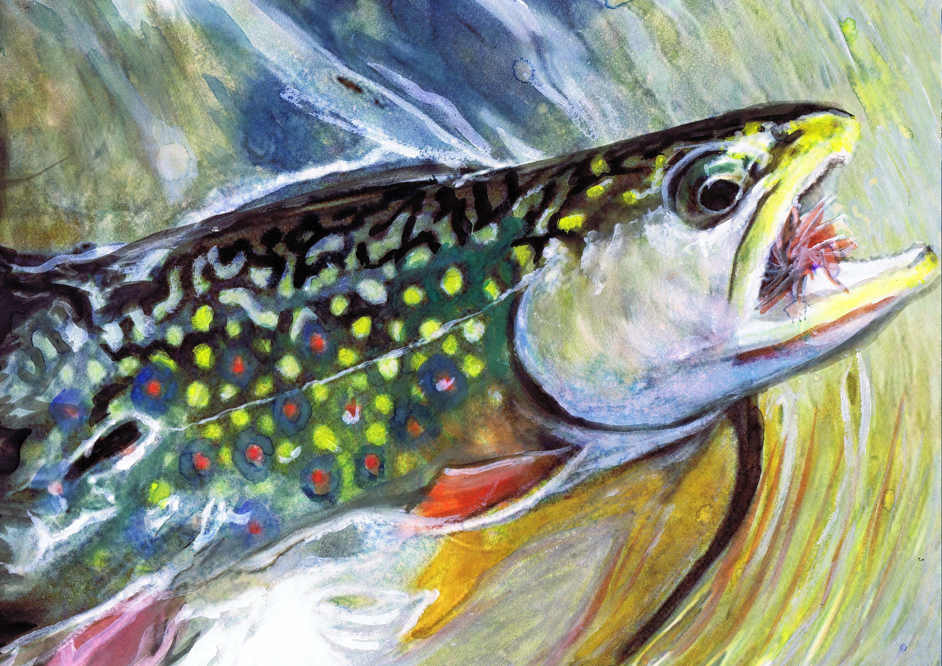 Brook Trout Fishing Art Print Fishing lover gift. Angler Gift Etsy