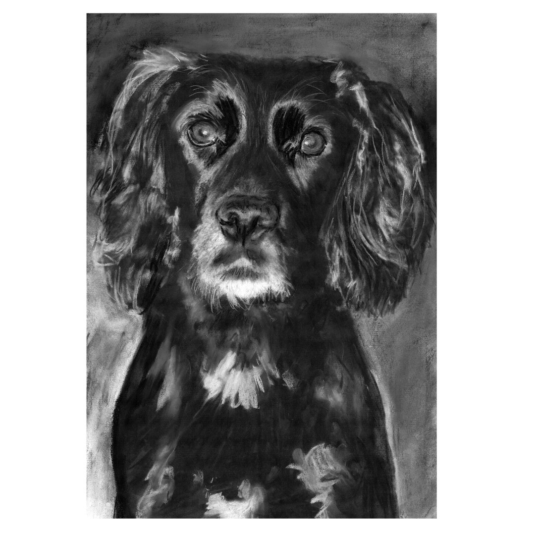 Working Cocker Spaniel Charcoal Drawing Print Black and White Cocker ...