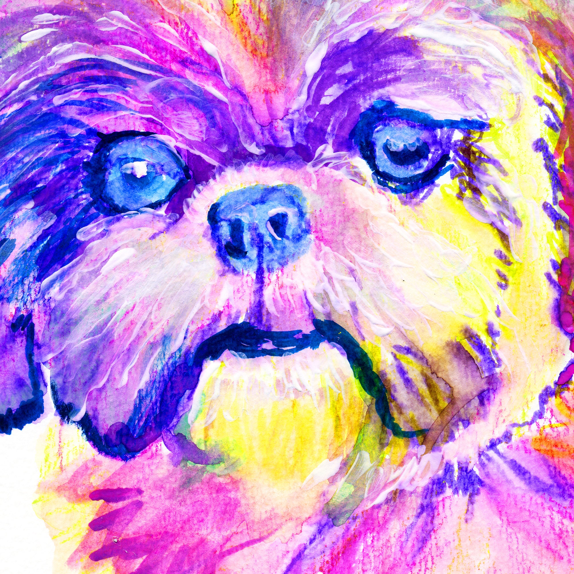 シーズーのアートプリント：カラフルな犬の肖像画、サイン入りペット