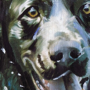 K&ouml;nnte beinhalten: Nahaufnahme eines Hundefaces, in realistischem Stil gemalt. Der Hund hat schwarz-wei&szlig;es Fell, eine feuchte Nase und einen verspielten Ausdruck. Das Gem&auml;lde ist auf einer strukturierten Leinwand ausgef&uuml;hrt.