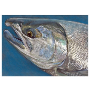 Atlantischer Lachs Wand Art Print, Lachs Malerei Print, Fliegenfischen Geschenk für ihn, handsigniert Fisch Aquatic Marine Nature Print 8x10 a4 a3