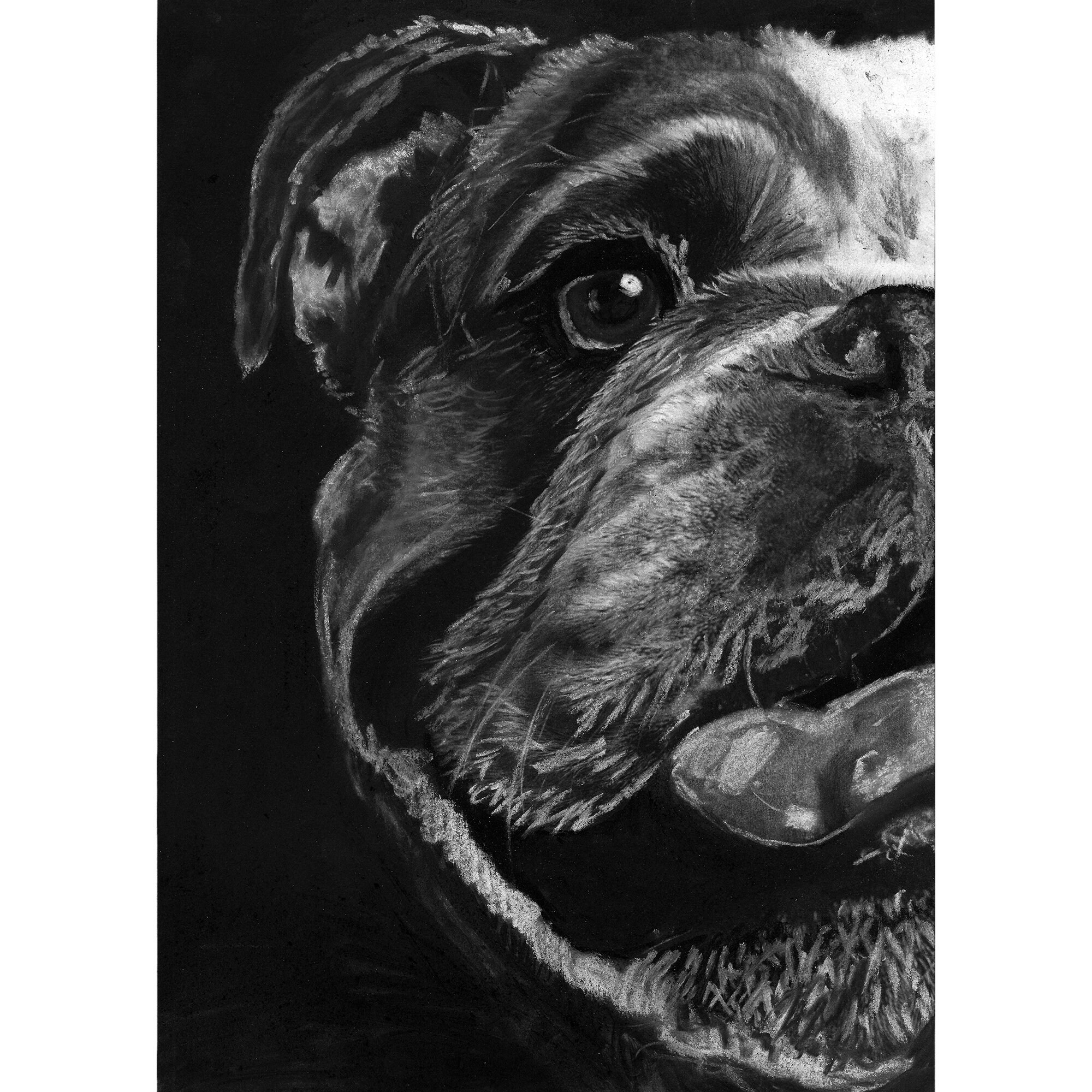 Custom Charcoal Pet Portrait Handdrawn From Your Photo Etsy