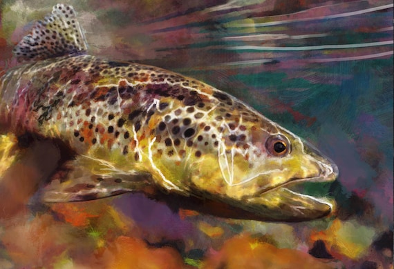Brown Trout Underwater Fishing Art Print, Fishing Lover Gift. Angler Gift  Idea River Fly Fishing Retirement Gift Hand Signed 8x10 A4 A3.. -   Norway