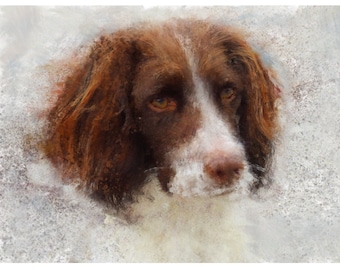 Springer Spaniel Snowy Painting Print English Welsh Springer  Wall Art, Dog Memorial, Spaniel Mum Picture Gift Choice of Size Signed