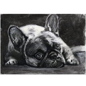 Black French Bulldog Art Print, Resting Black Frenchie Dog Wall Art, French Bull Dog Memorial, Charcoal Dog Drawing Gift Choice of Sizes