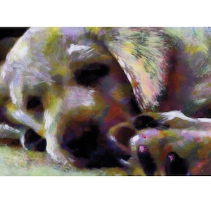 Labrador Retriever Stampa artistica Ritratto Giallo Cane carino Cucciolo Proprietario di cane Poster artistico Amante dei cani Memorial Idea regalo di Oscar Jetson