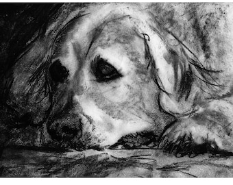 Golden Retriever Art Print: Hand-Signed Charcoal Dog Memorial