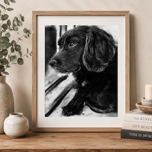 Impression d'art Cocker Spaniel fusain – Art mural portrait de chien noir, décoration pour animal de compagnie signée à la main
