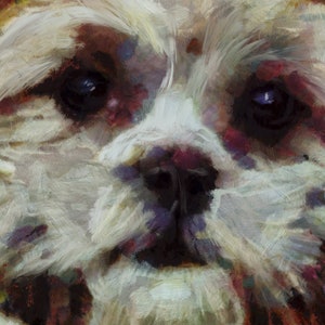 Shih Tzu Painting Painting Colourful Dog Owner Wall Art Print, Dog Memorial, Shitzu Mum Picture Gift Choice of Size Signed by Oscar Jetson image 2