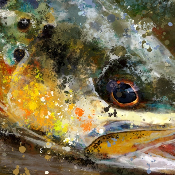 Trout Abstract Art Print, Fly Fisherman Gift fly Fishing Wall Décor Hand  Signed by Jack Tarpon, Mancave Choice of Sizes 8x10 11x14 12x16 
