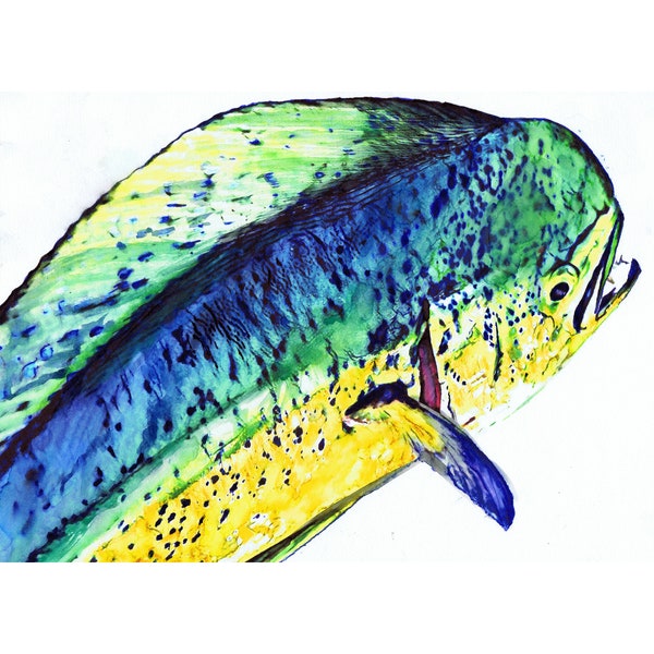 Mahi Mahi Modern Art Print, Dolphinfish Wall Art Mano firmada Pesca Acuarela Decoración Regalo por Jack Tarpon, Elección de tamaños 11x14 12x16 8x10