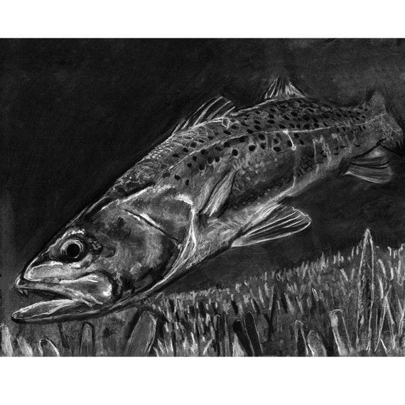 Spotted Speckled Sea Trout Fishing Art Print, Charcoal Saltwater