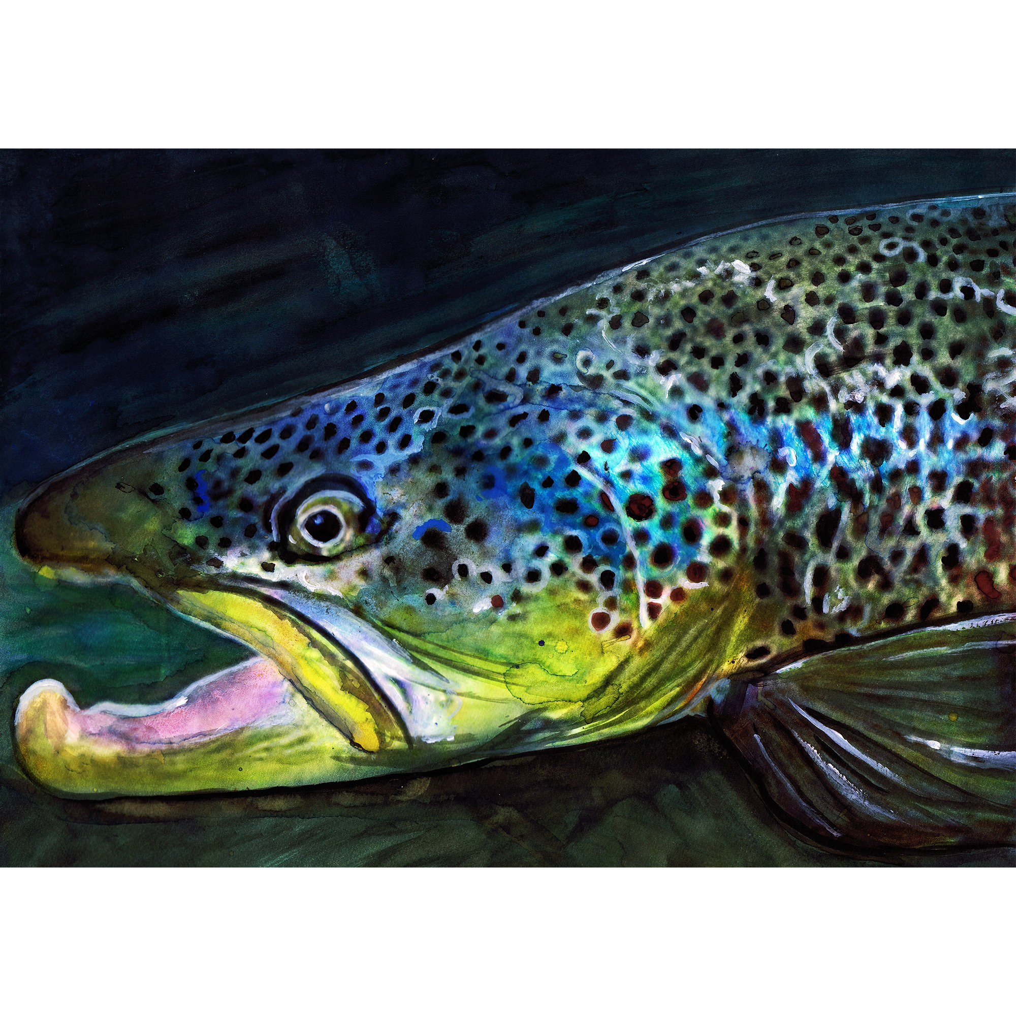 Brown Trout Abstract Art Print Fly Fisherman Gift Fly Etsy España