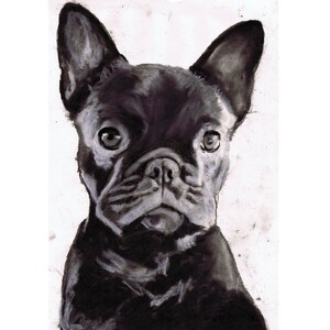 Black French Bulldog Art Print, Black Frenchie Dog Wall Art, French Bull Dog Memorial, Signed Charcoal Drawing Picture Gift Choice of Sizes