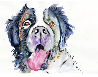 St Bernard Dog Portrait: Hand-Drawn Pen and Ink Watercolour Art Print