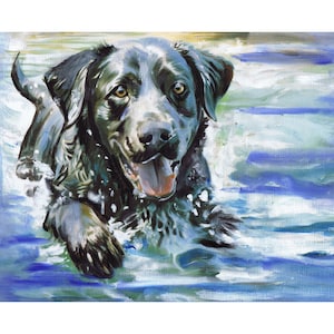 K&ouml;nnte beinhalten: Ein schwarzer Labrador Retriever mit nassem, dunklem Fell schwimmt in einem blauen und gr&uuml;nen Gew&auml;sser. Der Hund hat die Zunge herausgestreckt und schaut direkt auf den Betrachter.