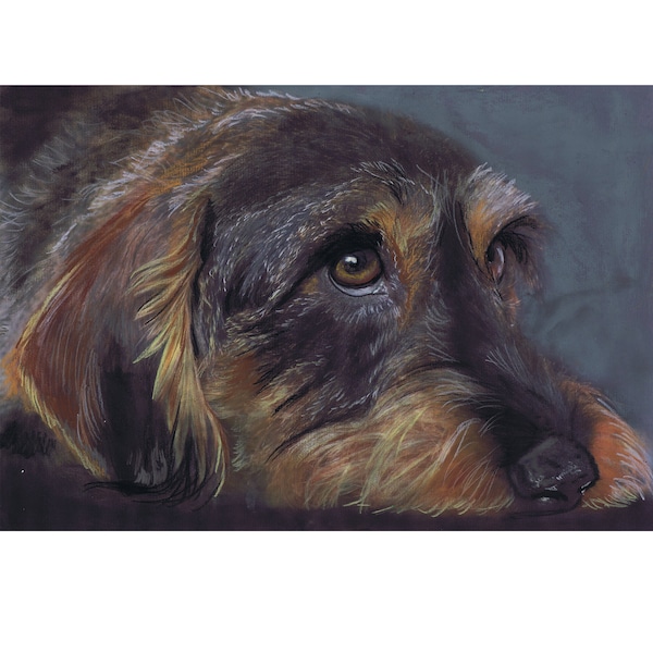 Wirehaired Dachshund Pastel Painting Print Teckel Doxie  Wall Art, Dog Memorial,  Dog Picture Gift Choice of Sizes 8x10 a4 a3 12x16  Signed