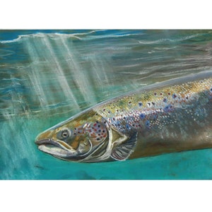 Salmon Art Print  - Pastel Painting Wall Art Decor, Fly Fishing Gift For Him Her, Hand-Signed Angling  Fly Fisherman Print 8x10 12x16 a4 a3