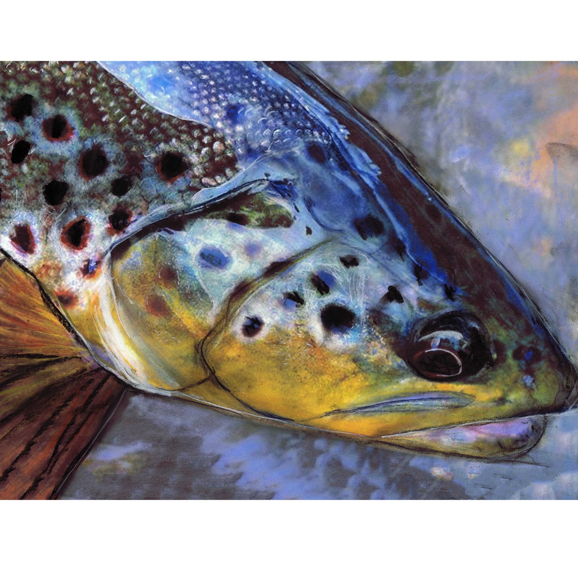 Choose ANY 4 Signed Prints SAME SIZE Super Saver A4 8x10 Etsy