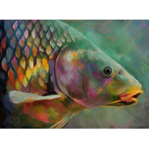 Carp Modern Art Print, Freshwater Carp Fishing Wall Art Print, Hand Signed  Fishing Décor Gift by Jack Tarpon, Choice of Sizes 11x14 12x16 