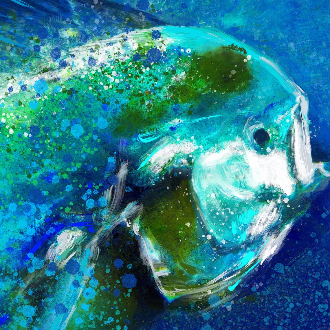 Four Mahimahi Dolphinfish Wall Art Prints Fishing Wall Art Etsy