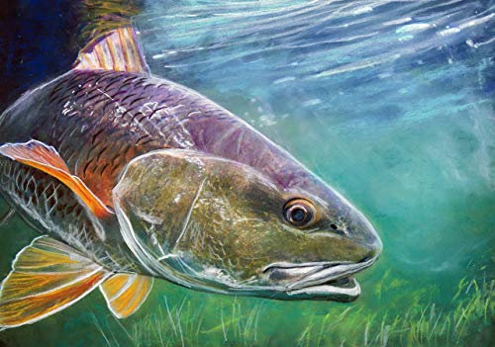 Redfish Wall Art Print Redfish Fishing Artwork Gift Red Drum | Etsy