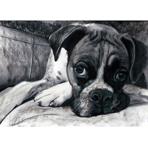 Boxer Hund Kohle Zeichnung Druck schwarz weiß ruhender Hund Kunst, Hund Denkmal, Geschenk für Hund Mama Bild Geschenk signiert A4 A3 8x10 11x14