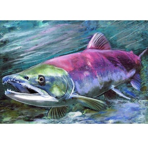 Rotlachs-Wand-Kunst, Rotlachs, Kokanee Blueback Lachs-Malerei-Druck, Fliegenfischen-Geschenk für ihn, handsigniert 8x10 a4 a3 12x16
