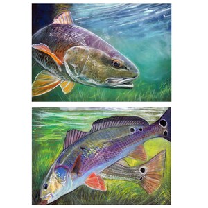 Redfish Wall Art Prints, Set of 2 Red Drum Fishing Artwork Gifts  Pastel Paintings, Choice of Size Hand Signed Fishing Print By Jack Tarpon