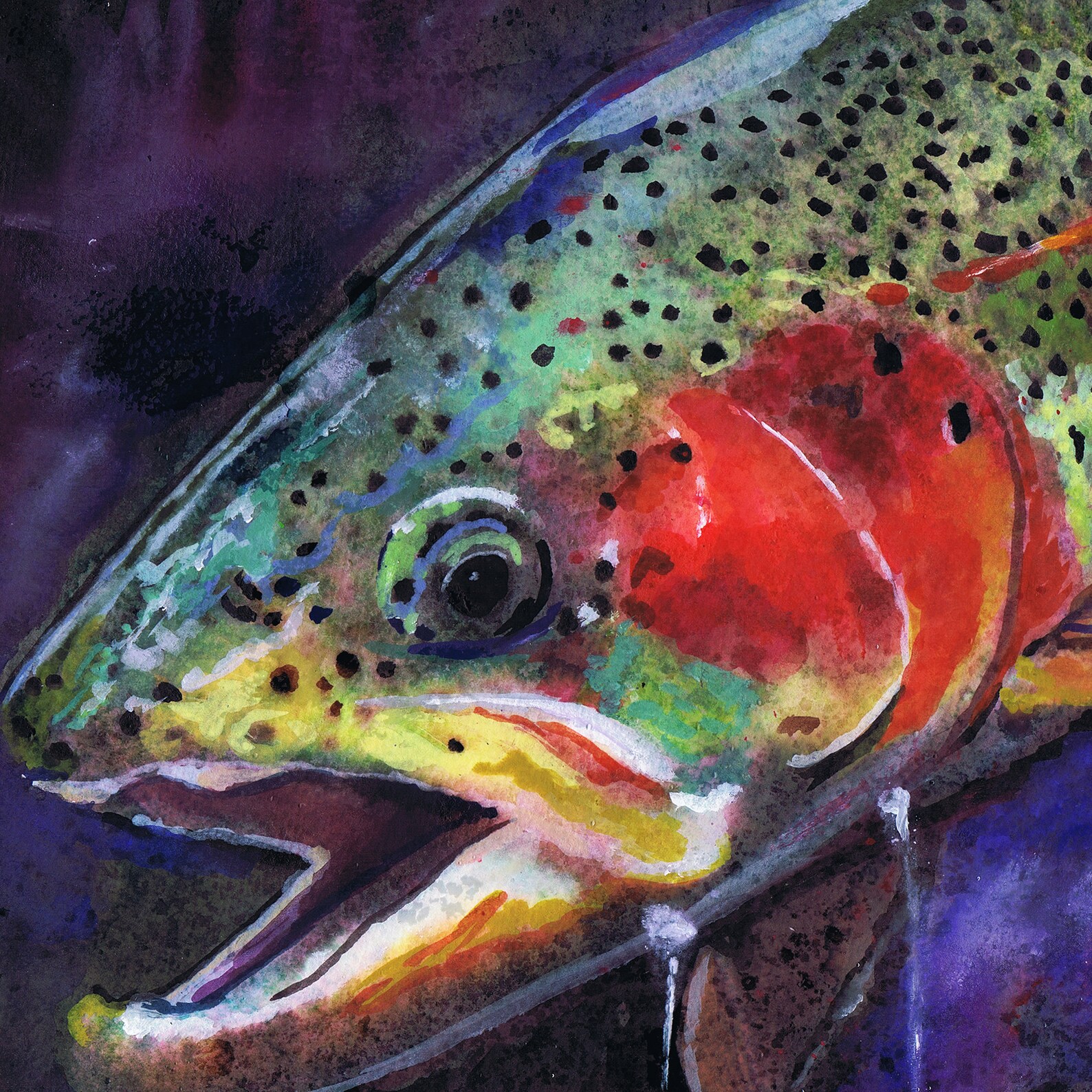 Rainbow Trout Art Print Steelhead Watercolour Abstract Art Etsy
