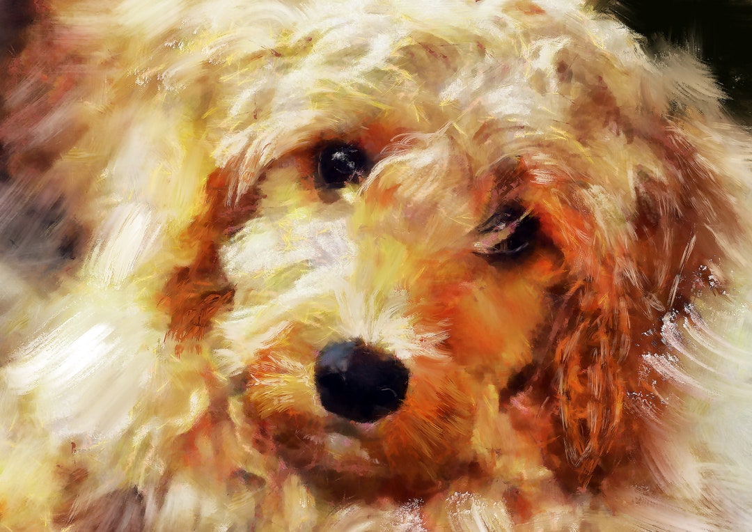 Cockapoo Dog Owner Gift, Abstract Painting Wall Art Print Signed by ...