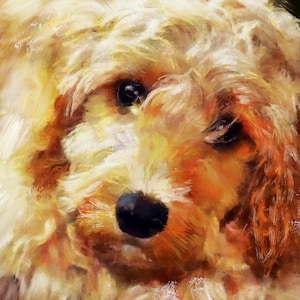 Cockapoo Dog Owner Gift, Abstract Painting Wall Art Print Signed by Artist A4 A3 11x14 Dog Memorial, Golden Cockapoo by Oscar Jetson