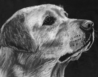 Konsttryck i träkol av gul labrador: Handsignerat hundminnesmärke
