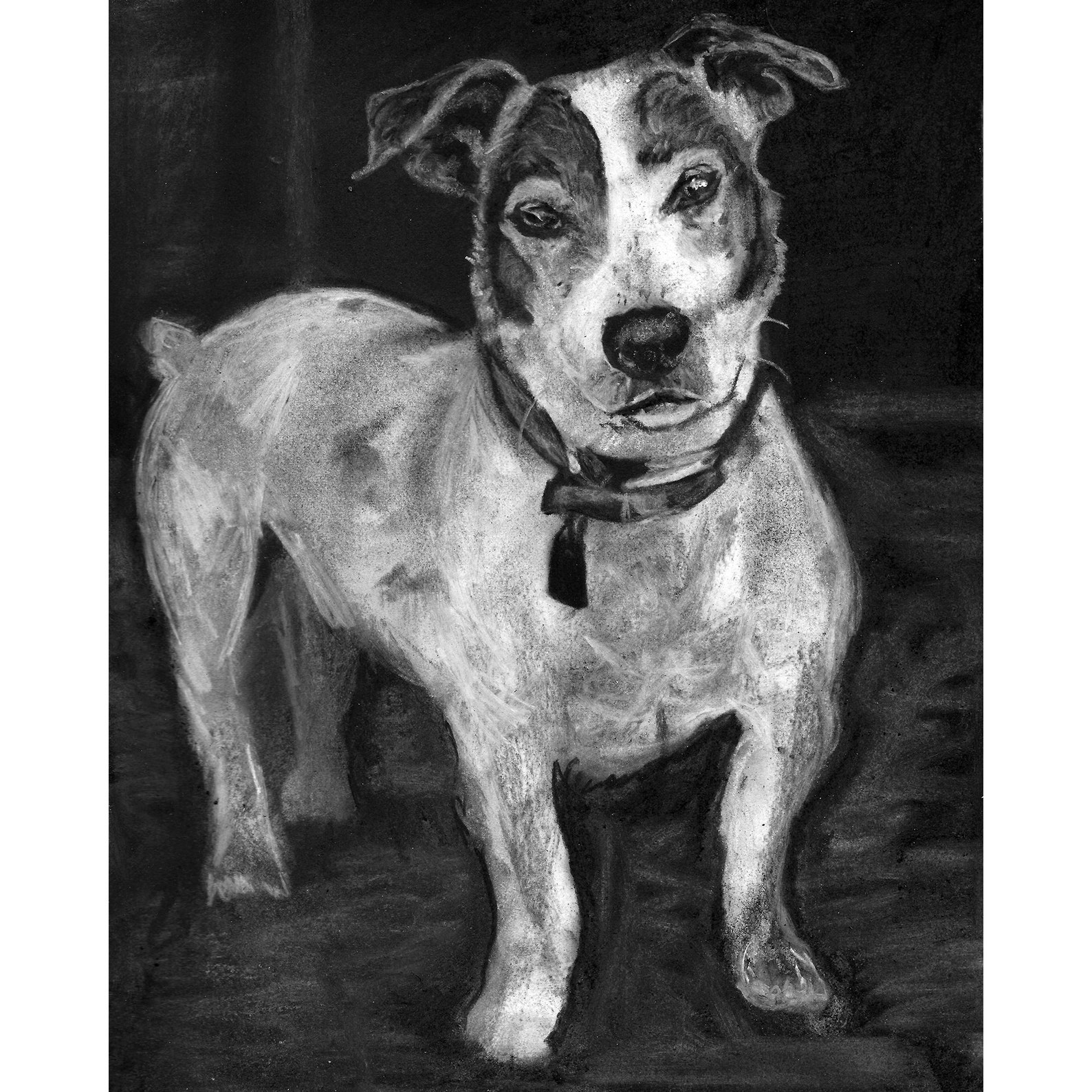 Custom Charcoal Pet Portrait Handdrawn From Your Photo Etsy
