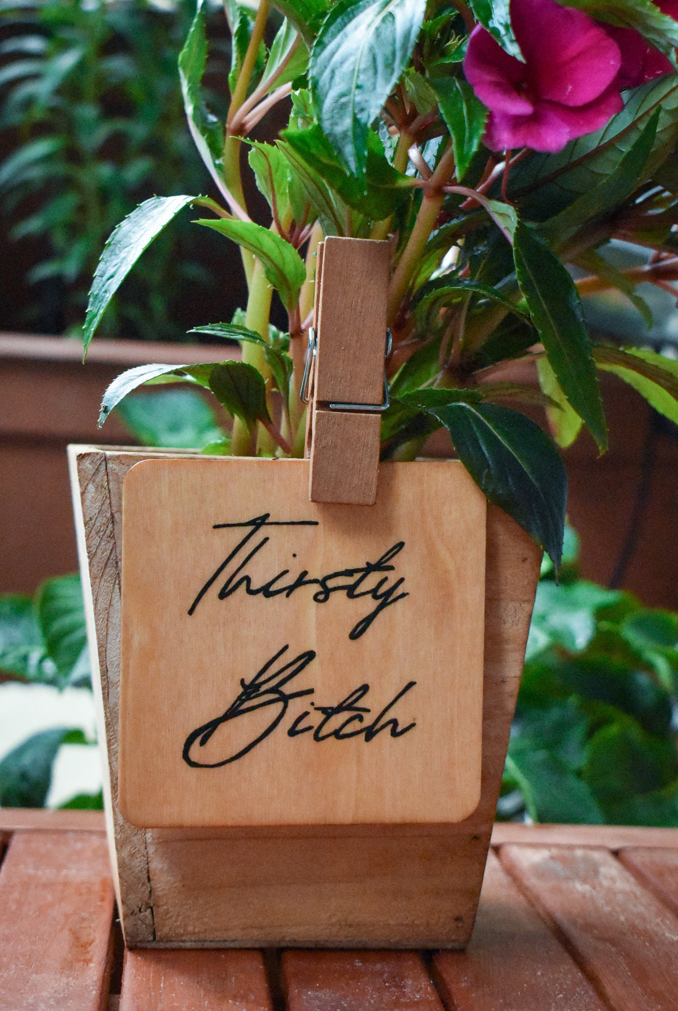 Hand Painted Sign for Plant Pots Funny Quote thirsty Etsy