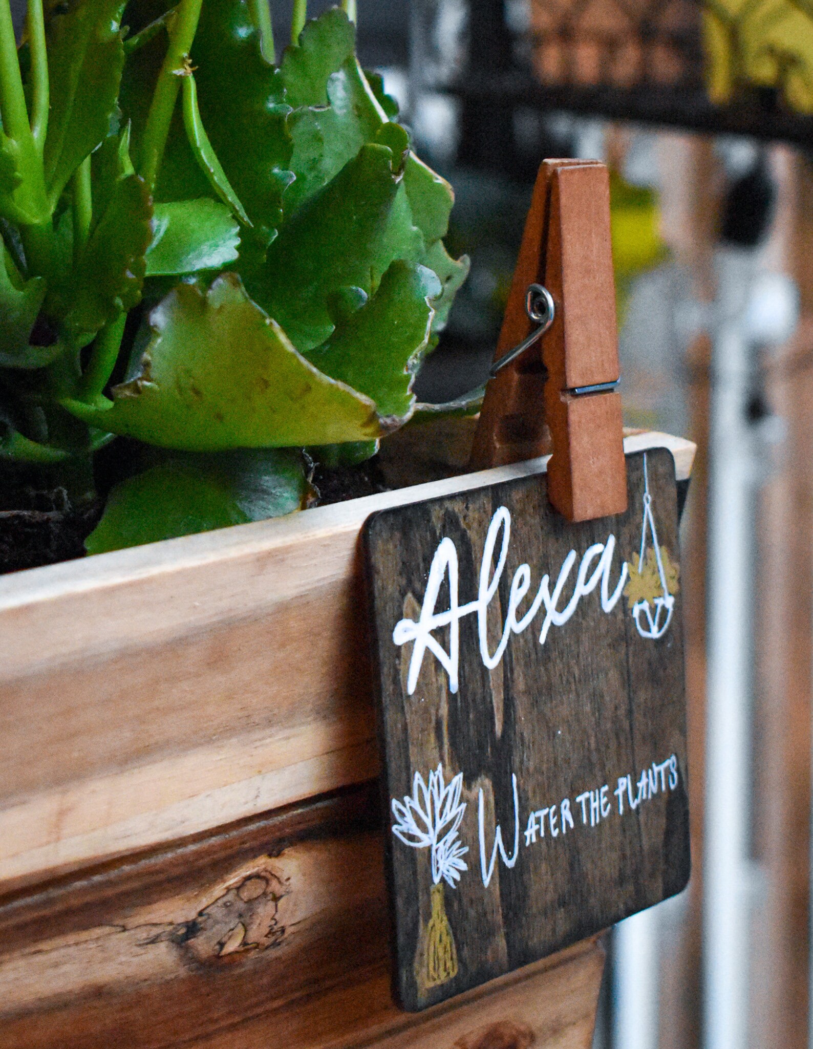 Alexa Im Garten Nutzen Alexa Water the Plants Lustige Pflanzenschilder für Garten | Etsy