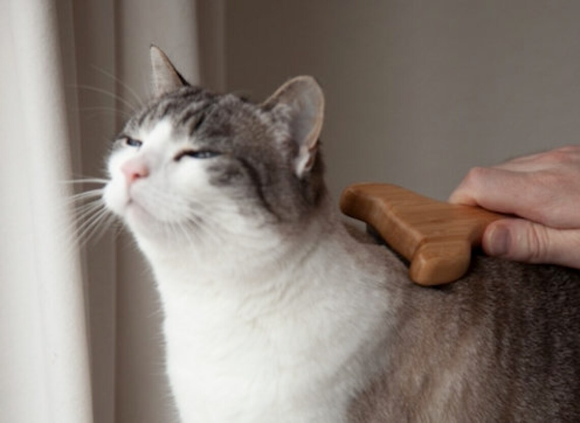 Wooden Cat Brush for deshedding plasticfree grooming comb Etsy