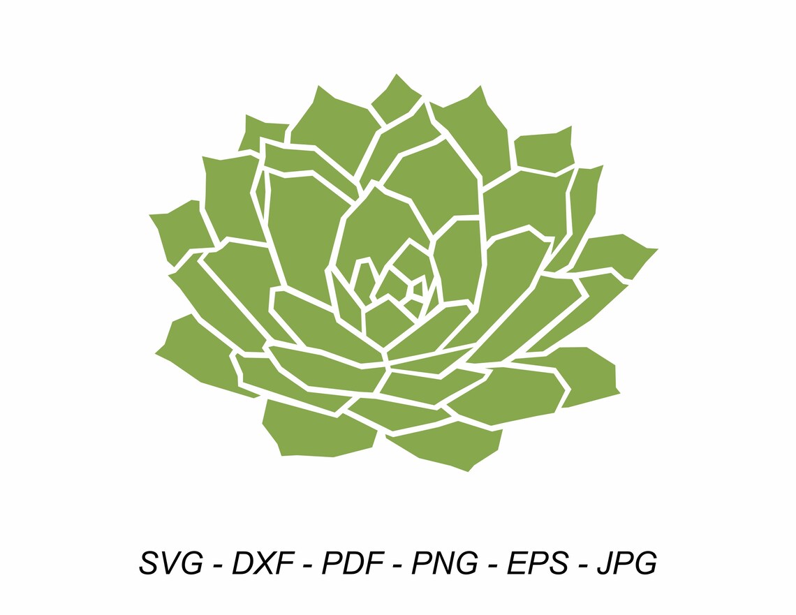 Succulent svg eps png pdf dxf jpg. Cut files for Сricut | Etsy