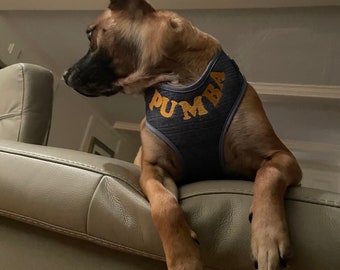 Arnés para mascotas personalizado