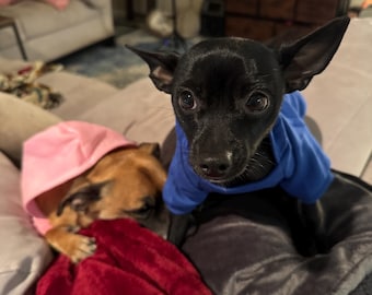 Sudadera con capucha personalizada para mascotas