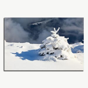 Arbre d'hiver à imprimer, Pelouse enneigée, Photographie de Noël à feuilles persistantes, Neige en téléchargement numérique, Décoration murale montagne hivernale, Carte postale de paysage