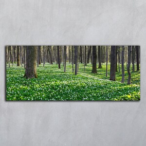 Cartoline panoramiche di paesaggi forestali, Fotografia di fiori, Stampa di fiori di anemone, Download digitale, Foto stampabile di primavera, Fiori digitali